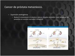 Cancer de próstata metastásico. Supresión androgénica Reducir la testosteron circulante a valores situados alrededor o por debajo de los presentes en varones castrados (<50ng/ml) 