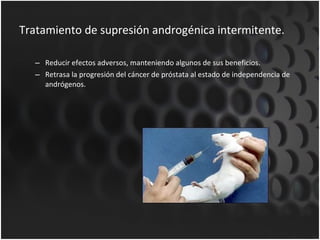 Tratamiento de supresión androgénica intermitente. Reducir efectos adversos, manteniendo algunos de sus beneficios. Retrasa la progresión del cáncer de próstata al estado de independencia de andrógenos. 