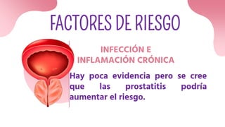 FACTORES DE RIESGO
INFECCIÓN E
INFLAMACIÓN CRÓNICA
Hay poca evidencia pero se cree
que las prostatitis podría
aumentar el riesgo.
 