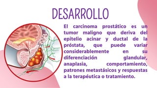 DESARROLLO
El carcinoma prostático es un
tumor maligno que deriva del
epitelio acinar y ductal de la
próstata, que puede variar
considerablemente en su
diferenciación glandular,
anaplasia, comportamiento,
patrones metastásicos y respuestas
a la terapéutica o tratamiento.
 
