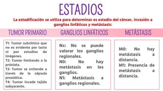 TUMOR PRIMARIO GANGLIOS LINFÁTICOS METÁSTASIS
ESTADIOS
T1: Tumor subclínico que
no es evidente por tacto
ni por estudios de
imágenes.
T2: Tumor limitando a la
próstata.
T3: Tumor se extiende a
través de la cápsula
prostática.
T4: Tumor invade tejido
subyacente.
Nx: No se puede
valorar los ganglios
regionales.
N0: No hay
metástasis en los
ganglios.
N1: Metástasis a
ganglios regionales.
M0: No hay
metástasis a
distancia.
M1: Presencia de
metástasis a
distancia.
La estadificación se utiliza para determinar es estadio del cáncer, invasión a
ganglios linfáticos y metástasis:
 