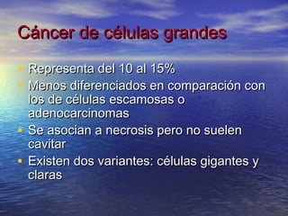 Cáncer de células grandes

• Representa del 10 al 15%
• Menos diferenciados en comparación con
  los de células escamosas o
  adenocarcinomas
• Se asocian a necrosis pero no suelen
  cavitar
• Existen dos variantes: células gigantes y
  claras
 