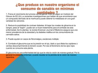 1. Frena el crecimiento de tumores cancerígenos: Esto es según en Instituto del 
Cáncer de EE.UU y a recientes investigaciones que hablan de que encontraron que 
un compuesto derivado de la marihuana puede detener la metástasis en una gran 
variedad de cánceres. 
2. Reduce la posibilidad de contraer diabetes: Al bajar los niveles de glicemia en la 
sangre, pese al "bajón", puede ser un buen tratamiento para el combate de esta 
enfermedad. Así lo plantea la revista American Journal of Medicine asegura que una 
menor prevalencia de la obesidad y la diabetes mellitus en los consumidores de 
cannabis sativa. 
3. Puede ayudar en casos de fibromialgia y esclerosis múltiple: 
4. Combate el glaucoma que es la presión en el ojo, dado a que dilata los capilares o 
venitas descomprimiendo la tensión ocular. Por eso el fenómeno de los ojos rojos 
cuando se consume esta planta. 
El glaucoma es una enfermedad del ojo que le roba la visión de manera gradual. Por lo 
general no presenta síntomas y puede resultar en la pérdida de la visión de manera 
repentina. 
 