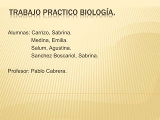 TRABAJO PRACTICO BIOLOGÍA.
Alumnas: Carrizo, Sabrina.
Medina, Emilia.
Salum, Agustina.
Sanchez Boscariol, Sabrina.
Profesor: Pablo Cabrera.
 