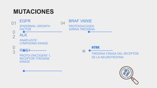 MUTACIONES
01
EPIDERMAL GROWTH
FACTOR
EGFR
0
2
ANAPLASTIC
LYMPHOMA KINASE
ALK
0
3
PROTO-ONCOGENE 1,
RECEPTOR TYROSINE
KINASE
ROS1
04
PROTOONCOGEN
SERINA TREONINA
BRAF V600E
05
NTRK
TIROSINA CINASA DEL RECEPTOR
DE LA NEUROTROFINA
 