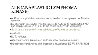ALK (ANAPLASTIC LYMPHOMA
KINASE)
●ALK es una proteína miembro de la familia de receptores de Tirosina
quinasa.
●La alteración molecular mas frecuente de ALK es la fusión EML4-ALK
que esta presente en 5 -7 % de los casos de CPNCP (crizotinib).
●Se asocia a características clinico-patológicas especificas:
●Jóvenes.
●No fumadores.
●Adenocarcinoma (células en anillo de sello, cribiforme, acinar)
●Mutuamente excluyente con respecto a mutaciones EGFR, KRAS, ROS
1.
 
