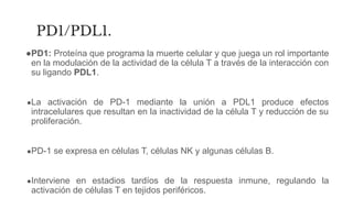 PD1/PDL1.
●PD1: Proteína que programa la muerte celular y que juega un rol importante
en la modulación de la actividad de la célula T a través de la interacción con
su ligando PDL1.
●La activación de PD-1 mediante la unión a PDL1 produce efectos
intracelulares que resultan en la inactividad de la célula T y reducción de su
proliferación.
●PD-1 se expresa en células T, células NK y algunas células B.
●Interviene en estadios tardíos de la respuesta inmune, regulando la
activación de células T en tejidos periféricos.
 