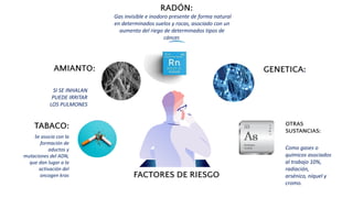 FACTORES DE RIESGO
OTRAS
SUSTANCIAS:
Como gases o
químicos asociados
al trabajo 10%,
radiación,
arsénico, níquel y
cromo.
GENETICA:
AMIANTO:
SI SE INHALAN
PUEDE IRRITAR
LOS PULMONES
TABACO:
Se asocia con la
formación de
aductos y
mutaciones del ADN,
que dan lugar a la
activación del
oncogen kras
RADÓN:
Gas invisible e inodoro presente de forma natural
en determinados suelos y rocas, asociado con un
aumento del riego de determinados tipos de
cáncer.
 