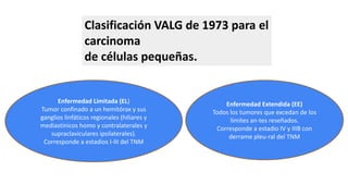 Clasificación VALG de 1973 para el
carcinoma
de células pequeñas.
Enfermedad Limitada (EL)
Tumor confinado a un hemitórax y sus
ganglios linfáticos regionales (hiliares y
mediastínicos homo y contralaterales y
supraclaviculares ipsilaterales).
Corresponde a estadios I-III del TNM
Enfermedad Extendida (EE)
Todos los tumores que excedan de los
límites an-tes reseñados.
Corresponde a estadio IV y IIIB con
derrame pleu-ral del TNM
 