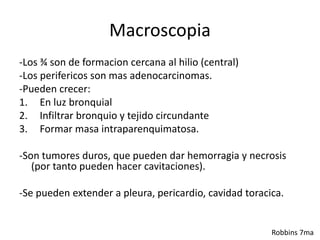 Macroscopia
-Los ¾ son de formacion cercana al hilio (central)
-Los perifericos son mas adenocarcinomas.
-Pueden crecer:
1. En luz bronquial
2. Infiltrar bronquio y tejido circundante
3. Formar masa intraparenquimatosa.
-Son tumores duros, que pueden dar hemorragia y necrosis
(por tanto pueden hacer cavitaciones).
-Se pueden extender a pleura, pericardio, cavidad toracica.
Robbins 7ma
 