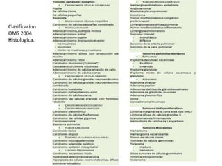 Clasificacion
OMS 2004
Histologica.
 