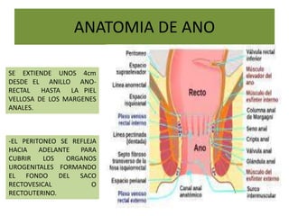 CANCER DE RECTO Y ANO diapositivas.pptx parte 1 | PPTX