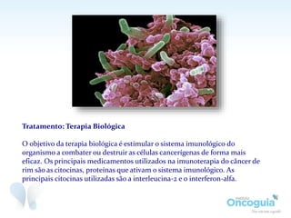 Tratamento: Terapia Biológica
O objetivo da terapia biológica é estimular o sistema imunológico do
organismo a combater ou destruir as células cancerígenas de forma mais
eficaz. Os principais medicamentos utilizados na imunoterapia do câncer de
rim são as citocinas, proteínas que ativam o sistema imunológico. As
principais citocinas utilizadas são a interleucina-2 e o interferon-alfa.
 