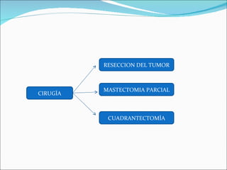 CIRUGÍA RESECCION DEL TUMOR MASTECTOMIA PARCIAL CUADRANTECTOMÍA 