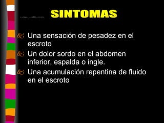 Una sensación de pesadez en el escroto  Un dolor sordo en el abdomen inferior, espalda o ingle.  Una acumulación repentina de fluido en el escroto  SINTOMAS ..................... 