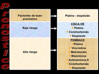 pronostico POMBACE Platino Vincristina Metrotexato Bleomicina Actinomicina D Ciclofosfamida Etopósido CISCA-VB Platino Ciclofosfamida Etopósido Platino - etopósido Alto riesgo Bajo riesgo Pacientes de buen pronóstico 