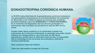 GONADOTROPINA CORIÓNICA HUMANA.
La B-HCG (subunidad beta de la gonadotropina coriónica humana) es
una glicoproteína producida por el sincitiotrofoblasto de la placenta
en desarrollo y sus niveles se elevan en tumores que contienen
sincitiotrofoblasto como los SEMINOMAS Y CORIOCARCINOMAS.
En el momento del diagnóstico de los tumores germinales no
seminomas, éste marcador se encuentra en mas del 80% de los
casos.
Pueden haber falsos positivos en la reactividad cruzada con
anticuerpos de la hormona luteinizante en pacientes que están siendo
tratados por hipogonadismo. Una inyección de 200 mg de
testosterona, puede hacer la diferencia entre las dos. La subunidad
alfa es homóloga de las hormonas de la pituitaria y beta de la
hormona luteinizante.
Valor normal es hasta de 5mUI/ml.
Tiene una vida media en sangre de 30 horas.
 