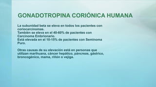 GONADOTROPINA CORIÓNICA HUMANA
La subunidad beta se eleva en todos los pacientes con
coriocarcinomas.
También se eleva en el 40-60% de pacientes con
Carcinoma Embrionario.
Está elevada en el 10-15% de pacientes con Seminoma
Puro.
Otras causas de su elevación está en personas que
utilizan marihuana, cáncer hepático, páncreas, gástrico,
broncogénico, mama, riñón o vejiga.
 