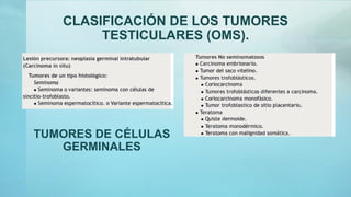 CLASIFICACIÓN DE LOS TUMORES
TESTICULARES (OMS).
TUMORES DE CÉLULAS
GERMINALES
 