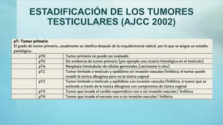 ESTADIFICACIÓN DE LOS TUMORES
TESTICULARES (AJCC 2002)
 