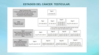 ESTADIOS DEL CÁNCER TESTICULAR.
 
