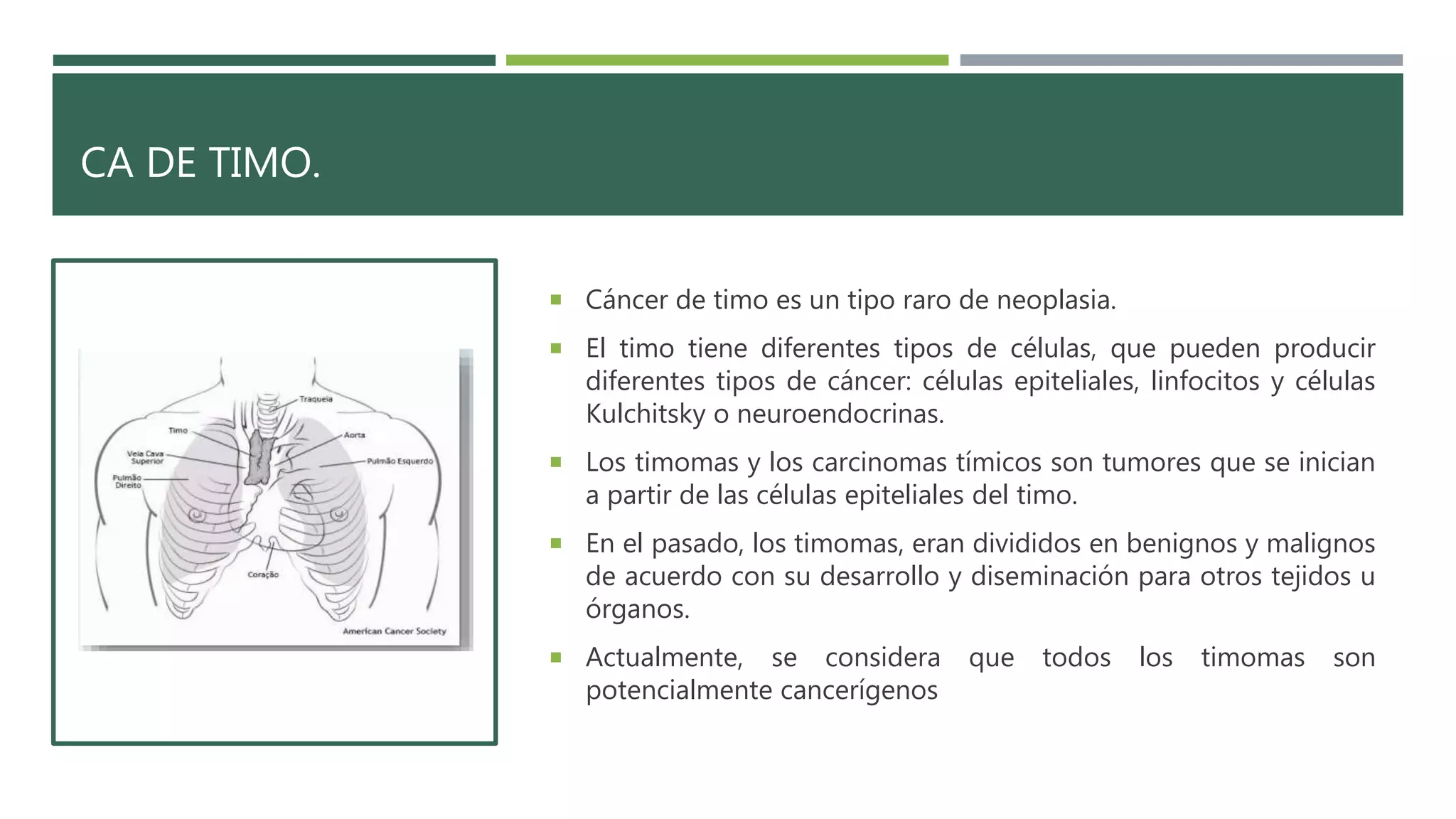 Cancer de timo | PPTX