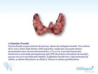 A Glândula Tireoide
Está localizada na parte anterior do pescoço, abaixo da cartilagem tireoide. Tem a forma
de H, com 2 lobos (lobo direito e lobo esquerdo), unidos por uma parte estreita
denominada istmo. Secreta dois hormônios, o T3 e o T4, a secreção desses dois
hormônios é controlada principalmente pelo TSH (hormônio estimulante da tireoide),
que por sua vez é secretado pela hipófise. A glândula tireoide tem 2 tipos principais de
células: as células foliculares e as células C (claras) ou células parafoliculares.
 