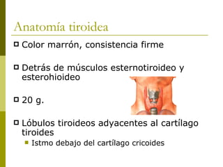 Anatomía tiroidea
   Color marrón, consistencia firme

   Detrás de músculos esternotiroideo y
    esterohioideo

   20 g.

   Lóbulos tiroideos adyacentes al cartílago
    tiroides
       Istmo debajo del cartílago cricoides
 