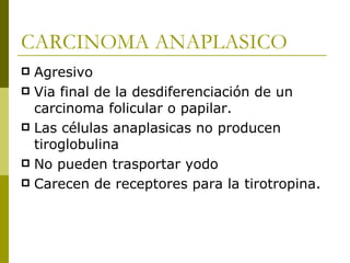 CARCINOMA ANAPLASICO
 Agresivo
 Via final de la desdiferenciación de un
  carcinoma folicular o papilar.
 Las células anaplasicas no producen
  tiroglobulina
 No pueden trasportar yodo
 Carecen de receptores para la tirotropina.
 