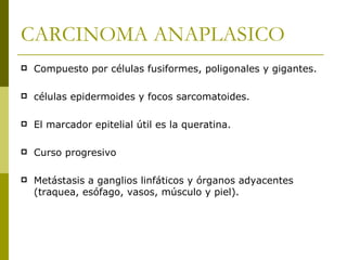 CARCINOMA ANAPLASICO
   Compuesto por células fusiformes, poligonales y gigantes.

   células epidermoides y focos sarcomatoides.

   El marcador epitelial útil es la queratina.

   Curso progresivo

   Metástasis a ganglios linfáticos y órganos adyacentes
    (traquea, esófago, vasos, músculo y piel).
 