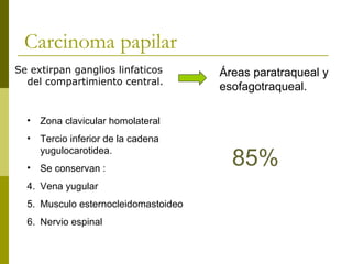 Carcinoma papilar
Se extirpan ganglios linfaticos       Áreas paratraqueal y
  del compartimiento central.
                                      esofagotraqueal.

  •   Zona clavicular homolateral
  •   Tercio inferior de la cadena

                                        85%
      yugulocarotidea.
  •   Se conservan :
  4. Vena yugular
  5. Musculo esternocleidomastoideo
  6. Nervio espinal
 