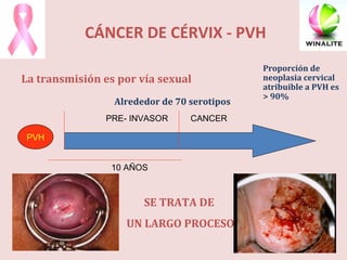 CÁNCER DE CÉRVIX - PVH La transmisión es por vía sexual  PRE- INVASOR CANCER PVH 10 AÑOS SE TRATA DE  UN LARGO PROCESO Proporción de neoplasia cervical atribuible a PVH es > 90% Alrededor de 70 serotipos . 