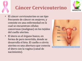 El cáncer cervicouterino es un tipo frecuente de cáncer en mujeres, y consiste en una enfermedad en la cual se encuentran células cancerosas (malignas) en los tejidos del cuello uterino. El útero es el órgano hueco, en forma de pera invertida, donde se desarrolla el feto. El cuello o cérvix uterino es una abertura que conecta el útero con la vagina (canal de nacimiento). Cáncer Cervicouterino 