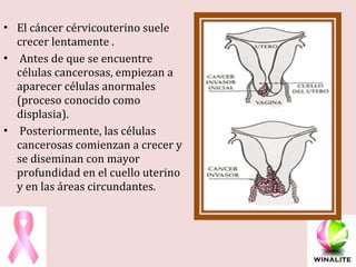 El cáncer cérvicouterino suele crecer lentamente . Antes de que se encuentre células cancerosas, empiezan a aparecer células anormales (proceso conocido como displasia). Posteriormente, las células cancerosas comienzan a crecer y se diseminan con mayor profundidad en el cuello uterino y en las áreas circundantes. 
