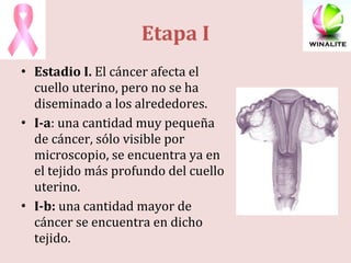 Estadio I.  El cáncer afecta el cuello uterino, pero no se ha diseminado a los alrededores. I-a : una cantidad muy pequeña de cáncer, sólo visible por microscopio, se encuentra ya en el tejido más profundo del cuello uterino. I-b:  una cantidad mayor de cáncer se encuentra en dicho tejido. Etapa I 