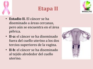 Etapa II Estadio II.  El cáncer se ha diseminado a áreas cercanas, pero aún se encuentra en el área pélvica. II-a:  el cáncer se ha diseminado fuera del cuello uterino a los dos tercios superiores de la vagina. II-b : el cáncer se ha diseminado al tejido alrededor del cuello uterino. 
