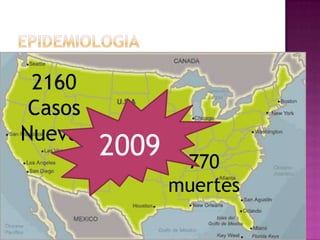 2160
 Casos
Nuevos
         2009    770
                muertes
 
