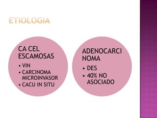 CA CEL           ADENOCARCI
ESCAMOSAS        NOMA
• VIN
                 • DES
• CARCINOMA
  MICROINVASOR   • 40% NO
• CACU IN SITU     ASOCIADO
 