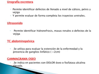 Urografía excretora

  ◦ Permite identificar defectos de llenado a nivel de cálices, pelvis y
    vejiga
  ◦ Y permite evaluar de forma completa los trayectos uretrales.


Ultrasonido

  ◦    Permite identificar hidronefrosis, masas renales o defectos de la
      vejiga


TC abdominopelvica

  ◦    Se utiliza para evaluar la extensión de la enfermedad y la
      presencia de ganglios linfático ( >2cm)

GAMMAGRAMA OSEO
 ◦ Se indica en pacientes con DOLOR óseo o fosfatasa alcalina
      elevada.
 