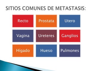 Recto    Prostata    Utero


Vagina   Ureteres   Ganglios


Hígado    Hueso     Pulmones
 