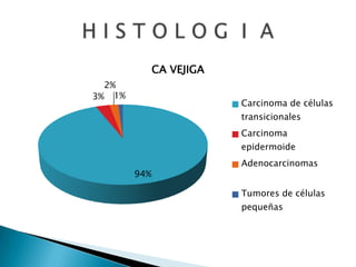 CA VEJIGA
  2%
3% 1%
                          Carcinoma de células
                          transicionales
                          Carcinoma
                          epidermoide
                          Adenocarcinomas
        94%

                          Tumores de células
                          pequeñas
 
