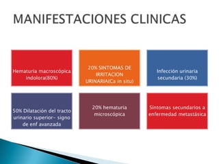 20% SINTOMAS DE
Hematuria macroscópica                                Infección urinaria
                                IRRITACION
    indolora(80%)                                     secundaria (30%)
                            URINARIA(Ca in situ)




                              20% hematuria        Síntomas secundarios a
50% Dilatación del tracto
                               microscópica        enfermedad metastásica
urinario superior- signo
    de enf avanzada
 