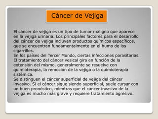 El cáncer de vejiga es un tipo de tumor maligno que aparece
en la vejiga urinaria. Los principales factores para el desarrollo
del cáncer de vejiga incluyen productos químicos específicos,
que se encuentran fundamentalmente en el humo de los
cigarrillos.
En los países del Tercer Mundo, ciertas infecciones parasitarias.
El tratamiento del cáncer vesical gira en función de la
extensión del mismo, generalmente se resuelve con
quimioterapia, la remoción de la vejiga o la quimioterapia
sistémica.
Se distinguen el cáncer superficial de vejiga del cáncer
invasivo. Si el cáncer sigue siendo superficial, suele cursar con
un buen pronóstico, mientras que el cáncer invasivo de la
vejiga es mucho más grave y requiere tratamiento agresivo.
Cáncer de Vejiga
 