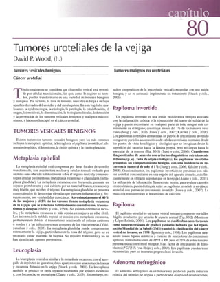 80 

Tumores uroteliales de la vejiga 

David P. Wood, (h.)
Tumores vesicales benignos
Cáncer urotelial
T
rad
.icionalmente se considera que el urotelio vesical está revesti­
do por células transicionales, las que, como lo sugiere su nom~
bre, pueden transformarse en una variedad de tumores benignos
y malignos. Por lo tanto, la lista de tumores vesicales es larga e incluye
aquellos derivados del urotelio y del mesénquima. En este capítulo, ana­
lizamos la epidemiología, la etiología, la patología, la estadificación, el
origen, las recidivas, la diseminación, la biología molecular, la detección
y la prevención de los tumores vesicales benignos y malignos más co­
munes, y hacemos hincapié en el cáncer urotelial.
TUMORES VESICALES BENIGNOS
Existen numerosos tumores vesicales benignos, pero los más comunes
incluyen la metaplasia epitelial, la leucoplasia, el papiloma invertido, el ade­
noma nefrogénico, elleiomioma, la cistitis quística y la cistitis glandular.
Metaplasia epitelial
La metaplasia epitelial está compuesta por áreas focales de urotelio
transformado, con arquitectura nuclear y celular normal, rodeado por
urotelio sano ubicado habitualmente sobre el trígono vesical y compues­
to por células pavimentosas (metaplasia escamosa) o glandulares (meta­
piasia glandular). La metaplasia escamosa, con frecuencia, presenta un
aspecto protuberante y está cubierta por un material blanco, escamoso y
muy friable, que recubre el trígono. La metaplasia glandular se presenta
como cúmulos de áreas rojas elevadas que parecen inflamatorias y, fre­
cuentemente, son confundidas con cáncer. Aproximadamente el 40%
de las mujeres y el 5% de los varones tienen metaplasia escamosa
de la vejiga, que se relaciona habitualmente con infección, trauma­
tismos y cirugías (Ozbey y cols., 1999). No existen diferencias racia­
les, y la metaplasia escamosa es más común en mujeres en edad fértil.
Las lesiones de la médula espinal se asocian con metaplasia escamosa,
probablemente debido al traumatismo ocasionado al colocar catéteres
o sondas y a las infecciones más comunes de las vías urinarias (Vaid­
yanathan y cols., 2003). La metaplasia glandular puede comprometer
extensamente la vejiga, particularmente la zona del trígono, pero no es
necesario tomar muestras de biopsia. No requiere tratamiento y no se
han identificado agentes preventivos.
Leucoplasia
La leucoplasia vesical es similar a la metaplasia escamosa, con el agre­
gado de depósitos de queratina; éstos aparecen como una sustancia blanca
y escamosa flotando en la vejiga (Staack y cols., 2006). La leucoplasia
también se produce en otros órganos recubiertos por epitelio escamoso
y, con frecuencia, es premaligna (Zhang y cols., 2009). Sin embargo, es-
Tumores malignos no uroteliales
tudios citogenéticos de la leucoplasia vesical concuerdan con una lesión
benigna, y no es necesario implementar un tratamiento (Staack y cols.,
2006).
Papiloma invertido
Un papiloma invertido es una lesión proliferativa benigna asociada
con la inflamación crónica o la obstrucción del tracto de salida de la
vejiga y puede encontrarse en cualquier parte de ésta, aunque más co­
múnmente en el trígono; constituye menos del 1% de los tumores vesi­
cales (Sung y cols., 2006; Jones y cols., 2007; Kilciler y cols., 2008).
Los papilomas invertidos demuestran un patrón de crecimiento invertido
compuesto por islas anastomóticas de células uroteliales normales desde
los puntos de vista histológico y citológico que se invaginan desde la
superficie del urotelio hacia la lámina propia, pero no llegan hasta la
muscular de la mucosa (Fig. 80-1) (Sung y cols., 2006). Cuando son
diagnosticados de acuerdo con criterios diagnósticos estrictamente
definidos (p. ej., falta de atipia citológica), los papilomas invertidos
presentan un comportamiento benigno, con una incidencia de re­
correncia tumoral de solo el1 % (Sung y cols., 2006; Kilciler y cols.,
2008). Ocasionalmente, los papilomas invertidos se presentan con cán­
cer urotelial concomitante en otra región del aparato urinario, más fre­
cuentemente en el tracto superior que en la vejiga (Asano y cols., 2003).
La utilización de hibridación fluorescente in situ, para evaluar cambios
cromosómicos, puede distinguir entre un papiloma invertido y un cáncer
urotelial con patrón de crecimiento invertido (Jones y cols., 2007). La
resección transuretral es el tratamiento de elección.
Papiloma
El papiloma urotelial es un tumor vesical benigno compuesto por tallos
frágiles recubiertos por urotelio de aspecto normal (Fig. 80-2) (Montironi
y López-Beltrán, 2005). Los papilomas se clasificaban anteriormente
como tumores vesicales de grado 1 y estadio Ta hasta que la Organi­
zación Mundial de la Salud (OMS) cambió la clasificación del cáncer
vesical no invasor, en 1998 (Epstein y cols., 1998). Los papilomas rara­
mente tienen figuras mitóticas y carecen de marcadores de crecimiento
agresivo, como mutaciones de TP53 o RE, pero el 75% de estos tumores
presenta mutaciones en el receptor 3 del factor de crecimiento de fibro­
blastos (FGFR-3) (van Rhijn y cols., 2004). Los papilomas pueden tener
recurrencias, pero no muestran progresión ni invasión.
Adenoma nefrogénico
El adenoma nefrogénico es un tumor raro producido por la irritación
crónica del urotelio; se origina a partir de una diversidad de situaciones,
 