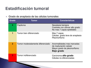 ! Grado de anaplasia de las células tumorales
Grado Tumor Características
0 Papiloma Neoplasia benigna
Coexiste con cáncer alto grado
No mas 7 capas epiteliales
1 Tumor bien diferenciado Mas 7 capas
Celulas grado leve de anaplasia
Pleomorfismo
2 Tumor moderadamente diferenciado Anormalidades mas marcadas
de maduración celular
Mayor grado de pleomorfismo
Bajo grado
3 Tumor indiferenciado Carcinoma alto grado
Células no diferenciadas
 