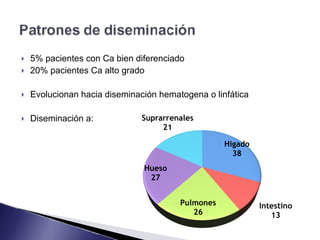! 5% pacientes con Ca bien diferenciado
! 20% pacientes Ca alto grado
! Evolucionan hacia diseminación hematogena o linfática
! Diseminación a:
 