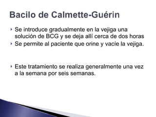 ! Se introduce gradualmente en la vejiga una
solución de BCG y se deja allí cerca de dos horas
! Se permite al paciente que orine y vacíe la vejiga.
! Este tratamiento se realiza generalmente una vez
a la semana por seis semanas.
 