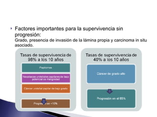 ! Factores importantes para la supervivencia sin
progresión: 
Grado, presencia de invasión de la lámina propia y carcinoma in situ
asociado.
 