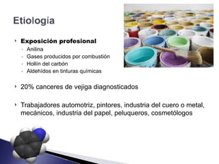 ! Exposición profesional
◦ Anilina
◦ Gases producidos por combustión
◦ Hollín del carbón
◦ Aldehídos en tinturas químicas
! 20% canceres de vejiga diagnosticados
! Trabajadores automotriz, pintores, industria del cuero o metal,
mecánicos, industria del papel, peluqueros, cosmetólogos
 