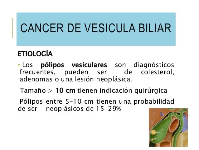 La análisis de sangre a los anticuerpos a los helmintos y las lamblias